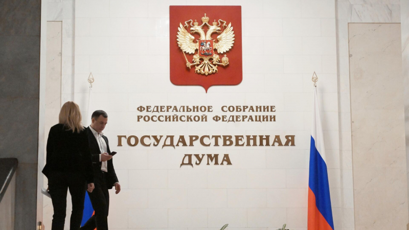 Госдума в 2024 году сэкономила более 1,3 миллиарда рублей