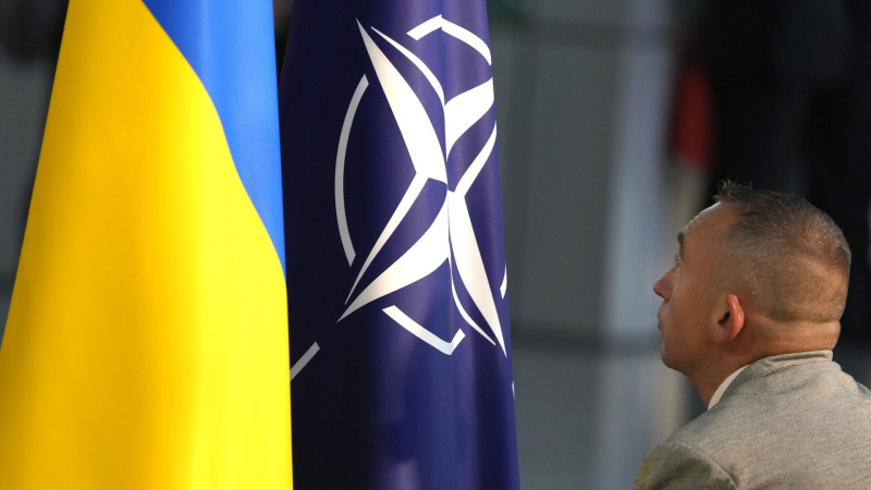 "По примеру Германии": в Турции оценили шансы на вступление Украины в НАТО