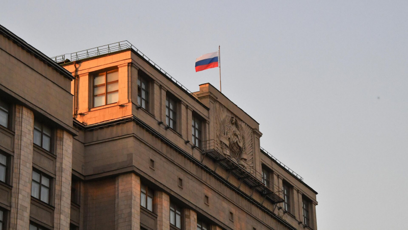 В Госдуме высказались о рождественском перемирии с Украиной