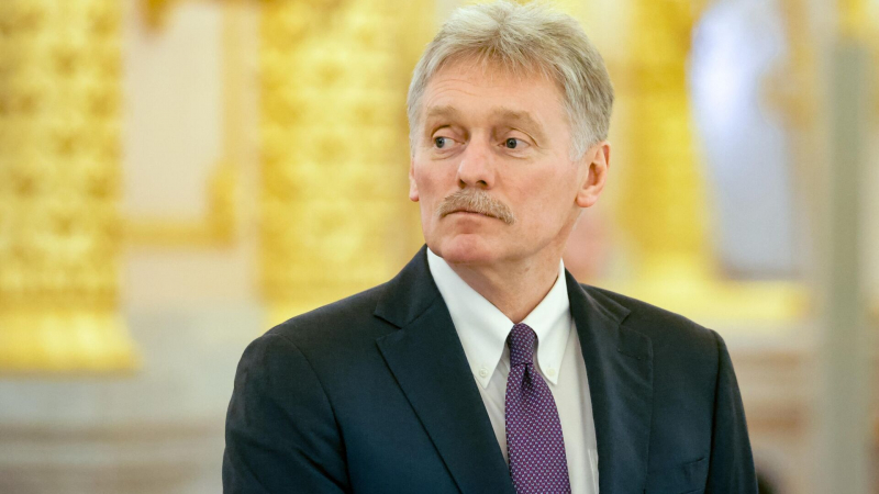 Встреча Путина с Фиданом будет краткой, заявил Песков